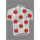 Blachere - Décor CYCLE3 POTEAU MAILLOT ROUGE BIOPRINT