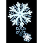 Blachere - FLOCON PETIT