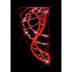 Blachere - FETE PETIT