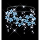 Blachere - FLOCON PIX