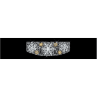 Blachere - Transversal. BIOPRINT Blizzard