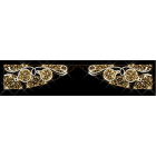 Blachere - Transvers BIOPRINT Spheerique