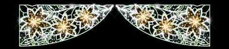 Blachere - DOUBLE EDELWEISS