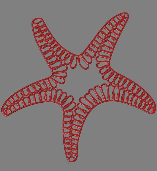 Blachere - Décor PAT SUSPENSION 2D ETOILE MER ROUGE BIOPRINT