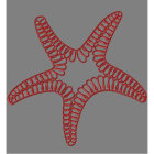 Blachere - Décor PAT SUSPENSION 2D ETOILE MER ROUGE BIOPRINT