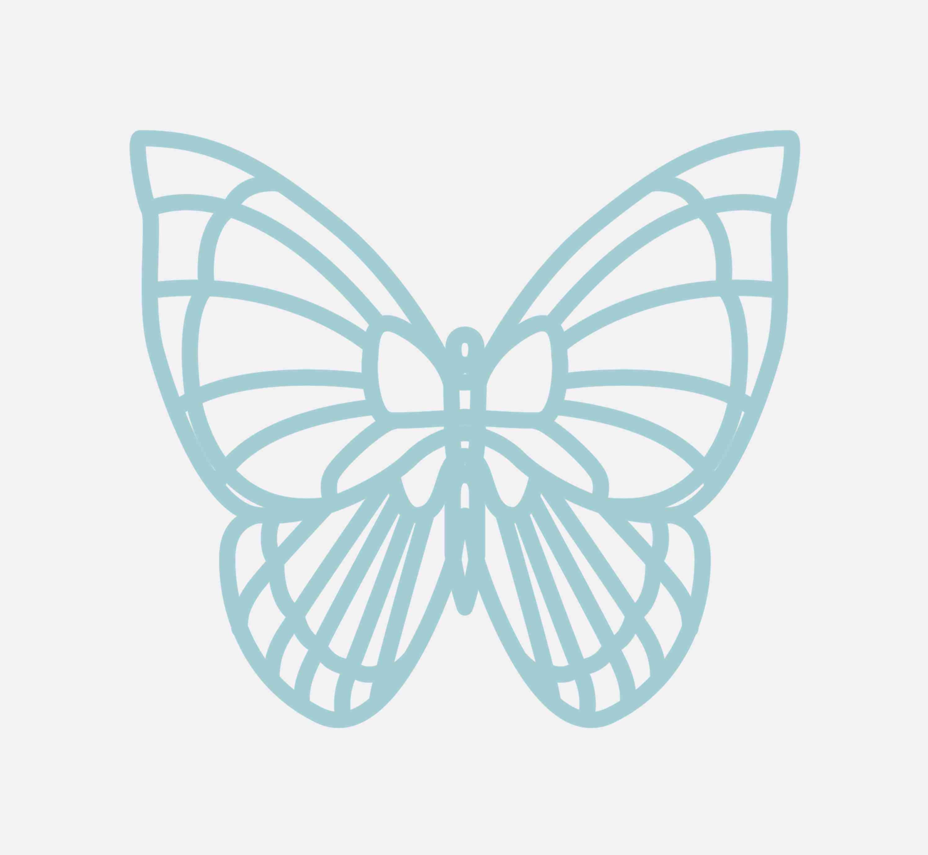 Blachere - BUTTERFLY1