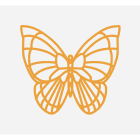 Blachere - BUTTERFLY2