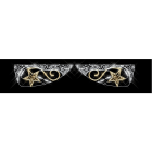 Blachere - Double Foster bioprint