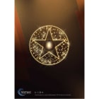 Blachere - Etoile et boule 3D effet flamme