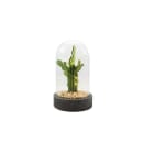 Blachere - CLOCHE MICRO LED A PILES