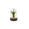 Vignette Photo produit ambiance 1