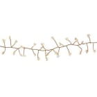 Blachere - MICROLED BOA AVEC DeCO eTOILES