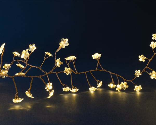 Blachere - MICRO LED GRAPPE DeCO FLEUR