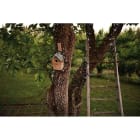 Blachere - GUIRLANDE SOLAIRE LED-5M