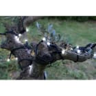 Blachere - GUIRLANDE SOLAIRE LED-10M