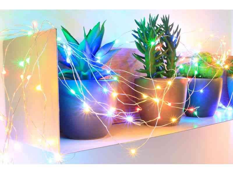 Blachere - GUIRLANDE MICRO LED