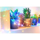 Blachere - GUIRLANDE MICRO LED