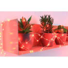 Blachere - GUIRLANDE MICRO LED