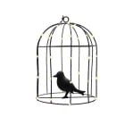 Blachere - CAGE OISEAUX MeTALLIQUE MICROLED3,2V D21,5cm x H31cm 50 micro LED blc chd fixe