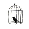Vignette Photo produit ambiance 1