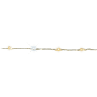 Blachere - GLD MICRO LED COMPACT - 18m