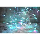 Blachere - GUIRLANDE MICRO LED BOA - 5m