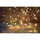 Blachere - GUIRLANDE MICRO LED BOA - 5m