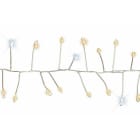 Blachere - GLD MICRO LED GRAPPE - 9m