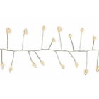 Blachere - GLD MICRO LED GRAPPE - 18m