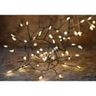 Blachere - RIDEAUX MICROLEDBOA 2x2m 24V 320 MICROLED BLC CHD -animee 5 fonct