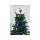 Blachere - RIDEAU MICRO LED POUR SAPIN