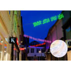 Blachere - Fil lumière® led+ vert-25m 230V - Diam: 13mm - 50led par mètre