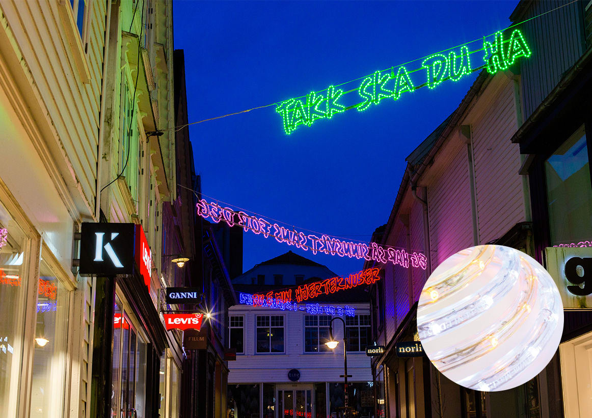 Blachere - Fil lumière® led+ rouge-25m 230V - Diam: 13mm - 50led par mètre