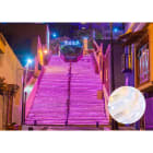 Blachere - Fil lumière® led+ rose-25m 230V - Diam: 13mm - 50led par mètre