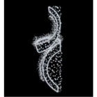 Blachere - VIREVOLTE