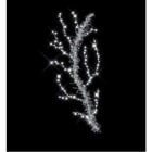 Blachere - BRANCHAGE GIVRE