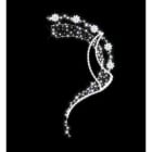 Blachere - VIRGULES DES NEIGES