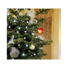 Blachere - CHERRYLIGHTGUIRLANDE LED BLANC