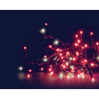 Blachere - FLICKER LIGHT LED COMPACT 18m