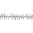 Blachere - Guirlande GRAPPE 800 LED Blanc pur - 24V - L:9m - câble vert - 8 fonctions