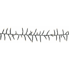 Blachere - Guirlande GRAPPE 800 LED Blanc chaud - 24V - L:9m - câble vert - 8 fonctions