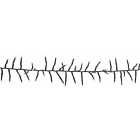 Blachere - GLD LED GRAPPE - 18m