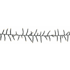 Blachere - GLD LED GRAPPE - 18m