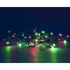 Blachere - FLICKER LIGHT BRILLANT LED 8m