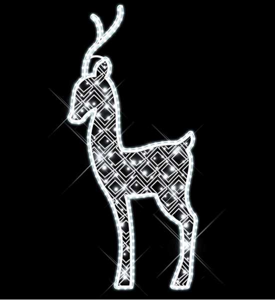 Blachere - RUDOLF