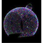 Blachere - Décor CHERRY BALL BOULE PASSANTE MULTICO LED