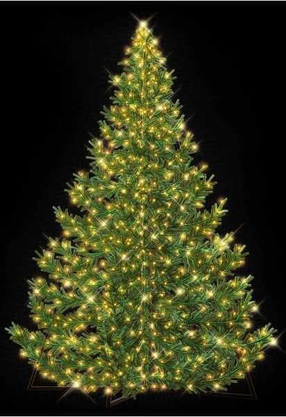 Blachere - Décor NORDIKA 3D - ECO SAPIN BLANC CHAUD LED