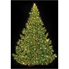 Blachere - Décor NORDIKA 3D - ECO SAPIN BLANC CHAUD LED