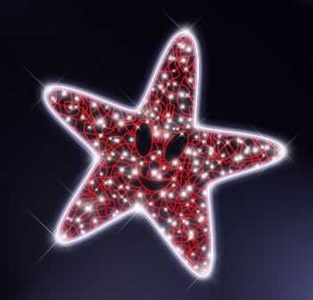 Blachere - ETOILE DE MER Scenette 2D