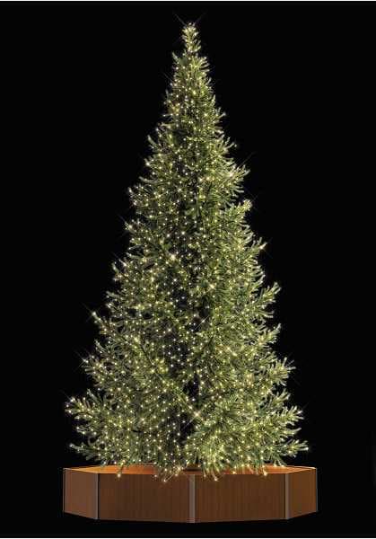 Blachere - Décor SOCLE BOIS SOCLE GX081 3D